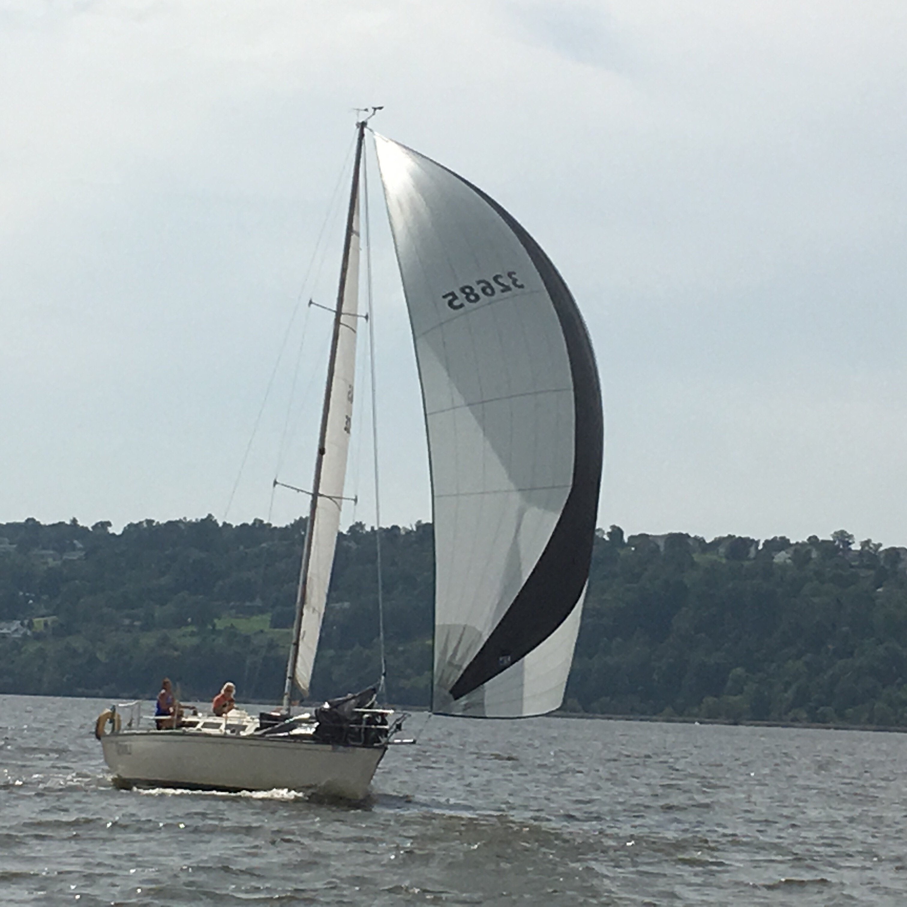 spinnaker ebay